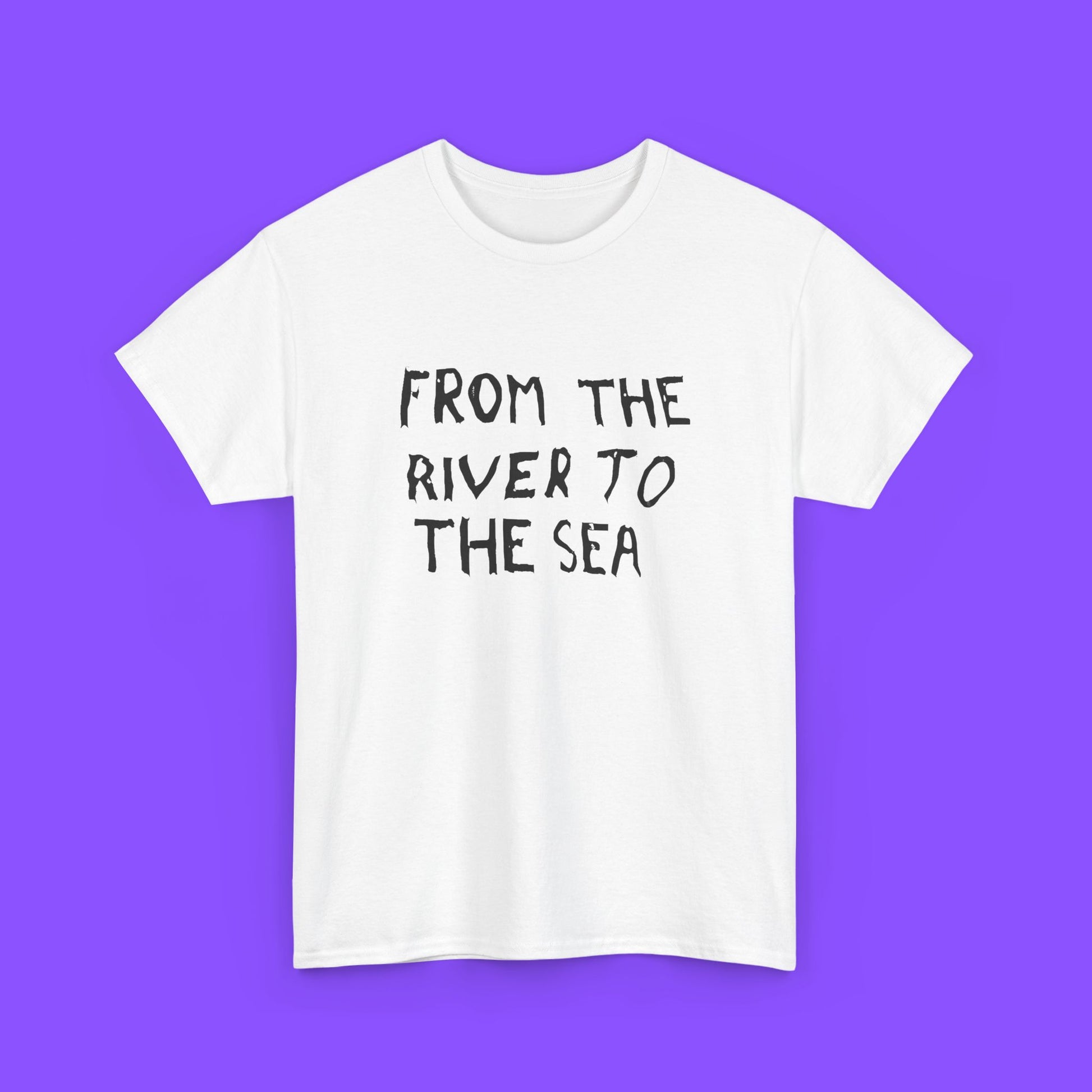From The River To Sea Shirt - Tee No Filter